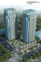 中央豪门实景图图片