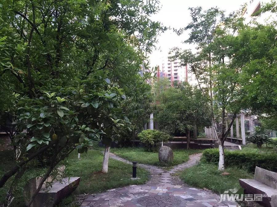 滨湖人家实景图12