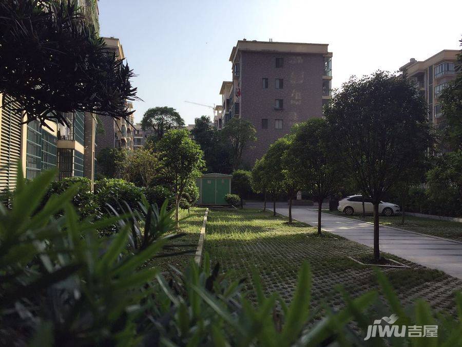 滨湖人家实景图11