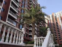 滨湖人家实景图图片