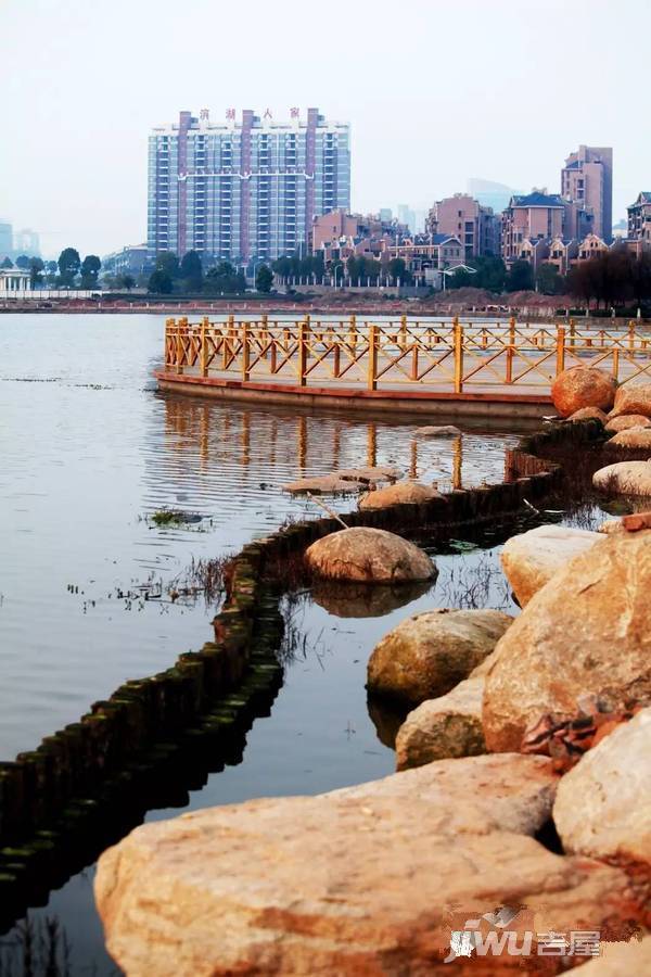 滨湖人家实景图4