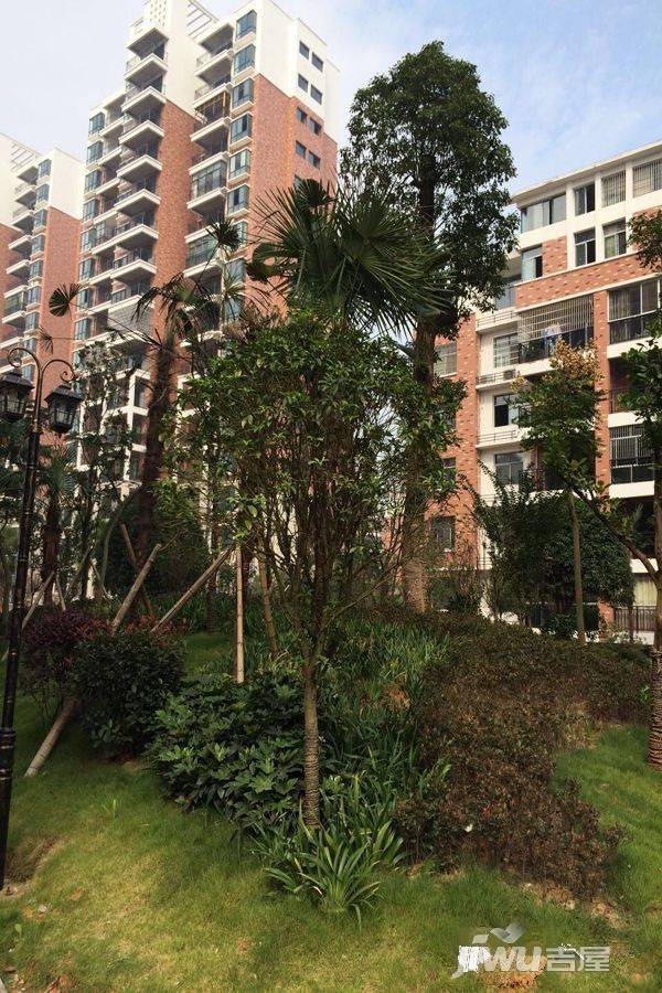 世和巴黎春天实景图4