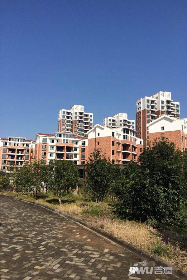 世和巴黎春天实景图3