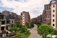 半山豪园实景图图片