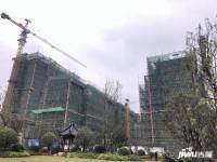 天润芙蓉实景图图片