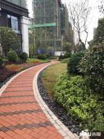 天润芙蓉实景图