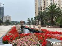 龙华云锦央玺（四期）实景图图片