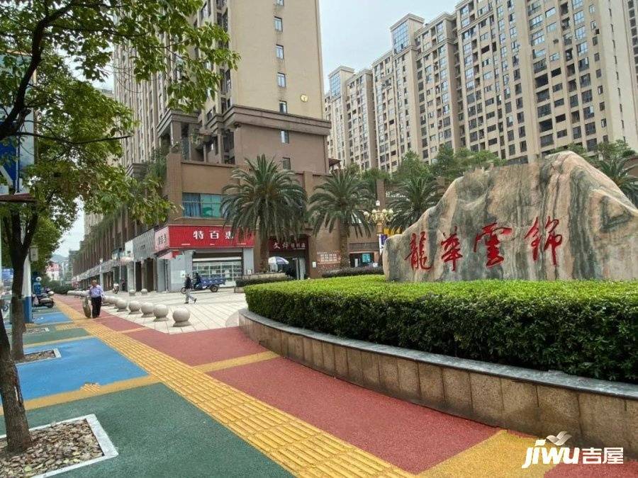 龙华云锦央玺（四期）实景图15