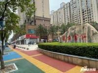 龙华云锦央玺（四期）实景图图片