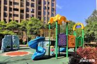 龙华云锦央玺（四期）实景图图片