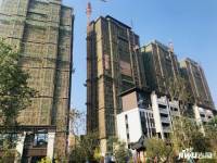 天润芙蓉实景图图片