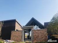 天润芙蓉实景图图片