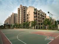 玉湖新城二期上海人家实景图图片