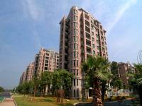 玉湖新城二期上海人家实景图图片