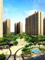 南剑2011实景图图片