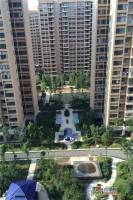 南剑2011实景图图片