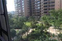 南剑2011实景图图片