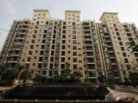 东方巴黎二期实景图图片