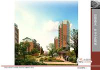 世和巴黎春天实景图图片